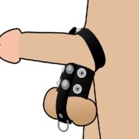COCK AND BALL RESTRAINT